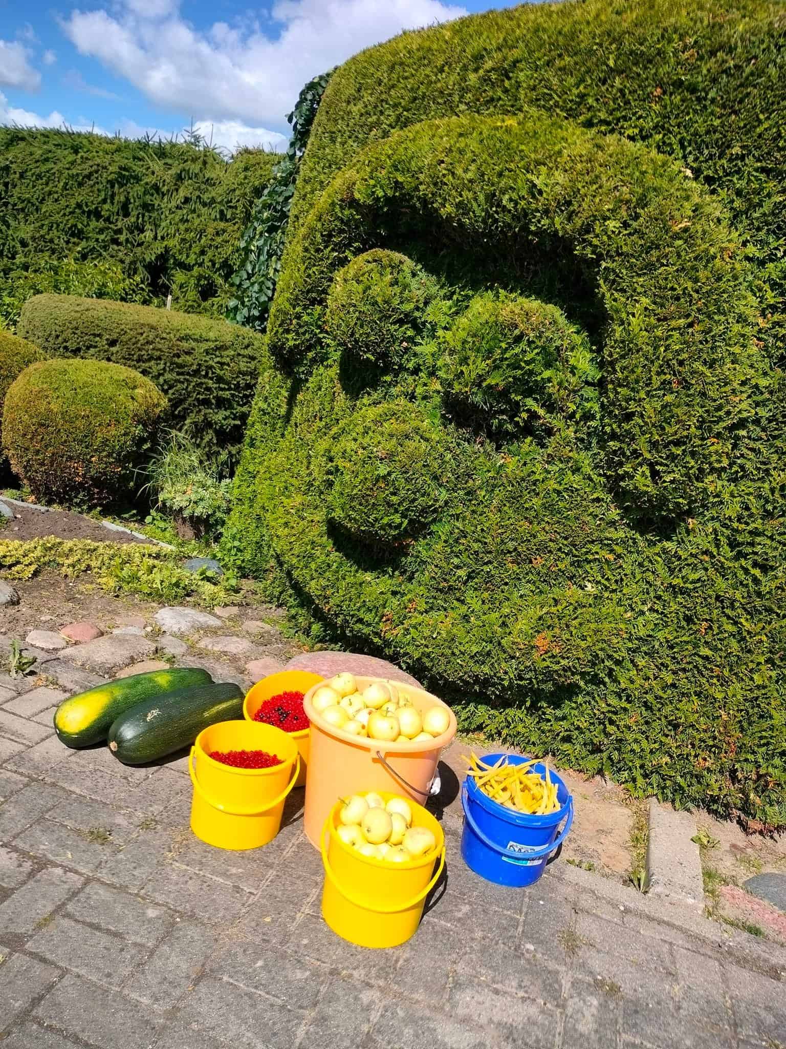Žemaičių Kalvarijos Caritas Skyriaus Globos Namai