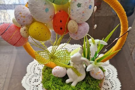 Strūnos socialinės globos namai