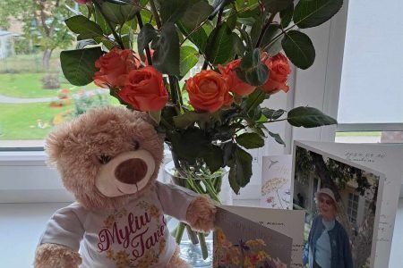 Šiaulių miesto savivaldybės globos namai