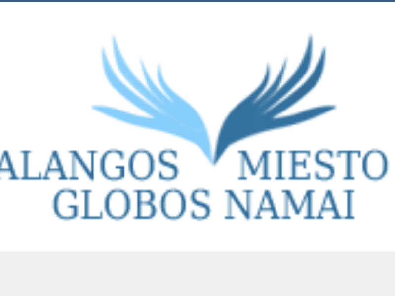 Logo with two stylized bird wings in light blue and dark blue at the top. Below the wings, text reads 