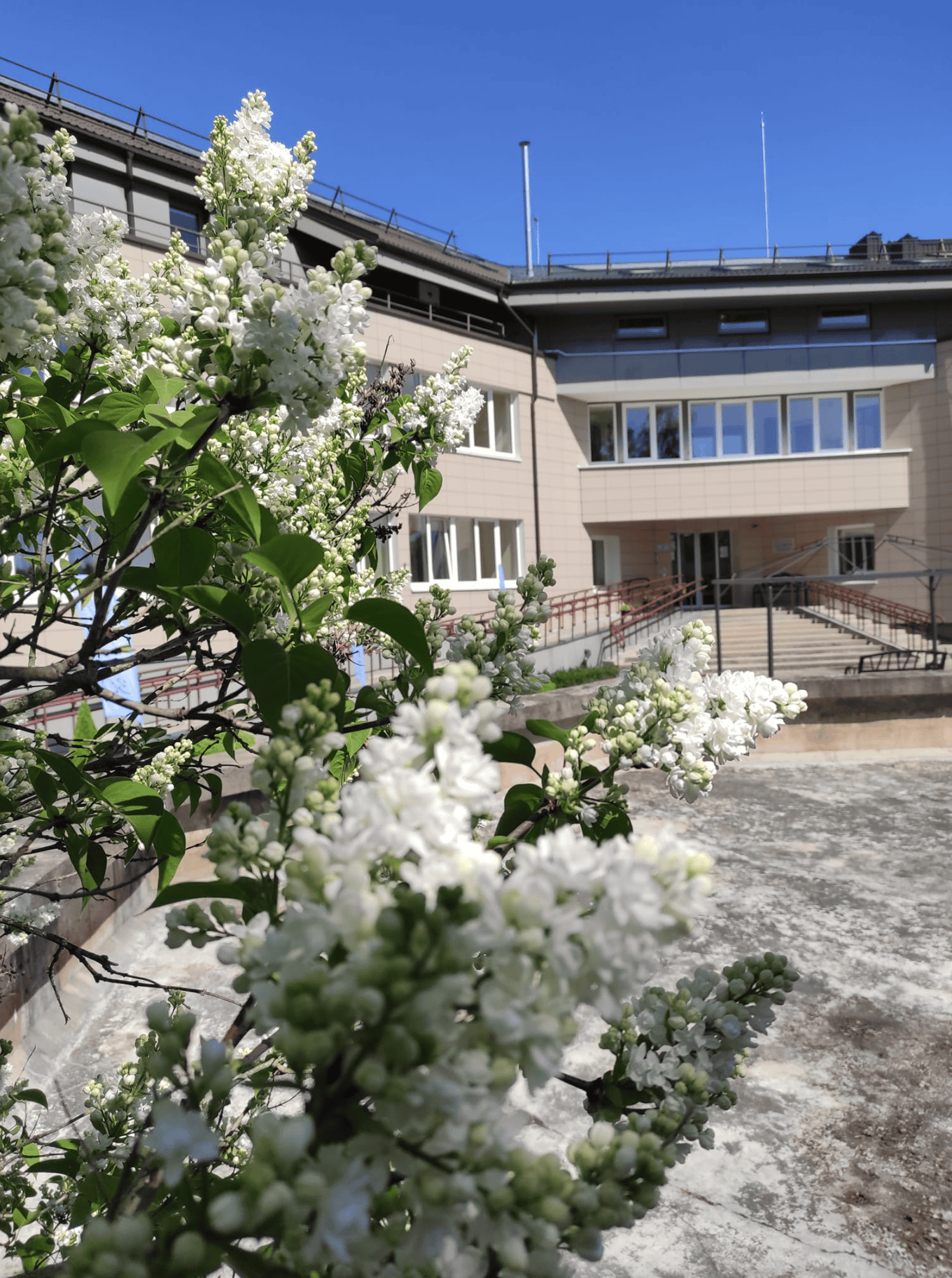 Palanga City Care Home