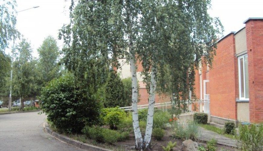 Vieta dviviečiame kambaryje Visagino socialinių paslaugų centre