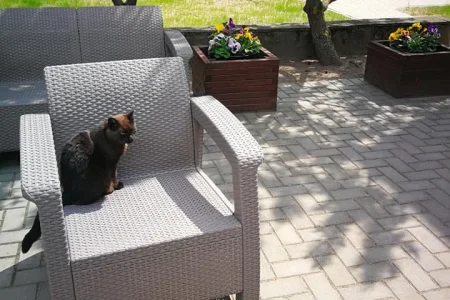 Josvainių socialinis ir ugdymo centras