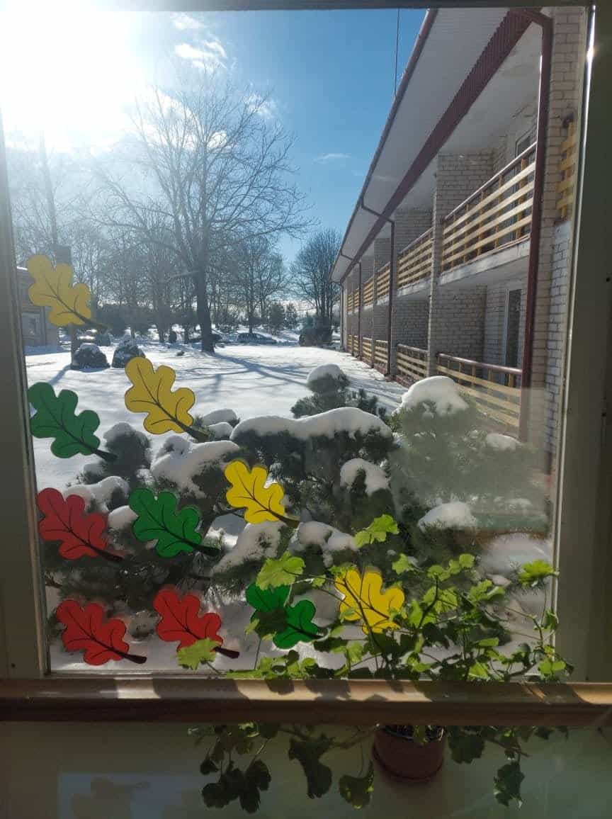 Blinstrubiškių socialinės globos namai