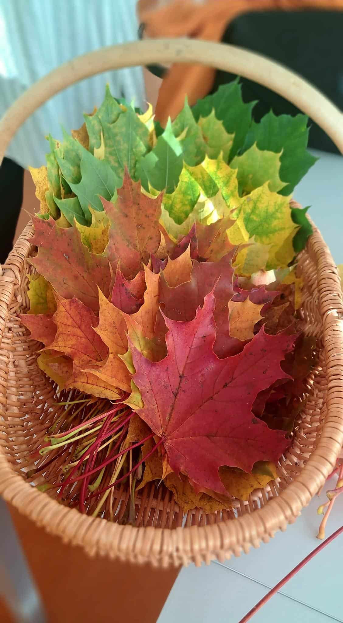 Viešoji įstaiga „Jungtinės pajėgos“
