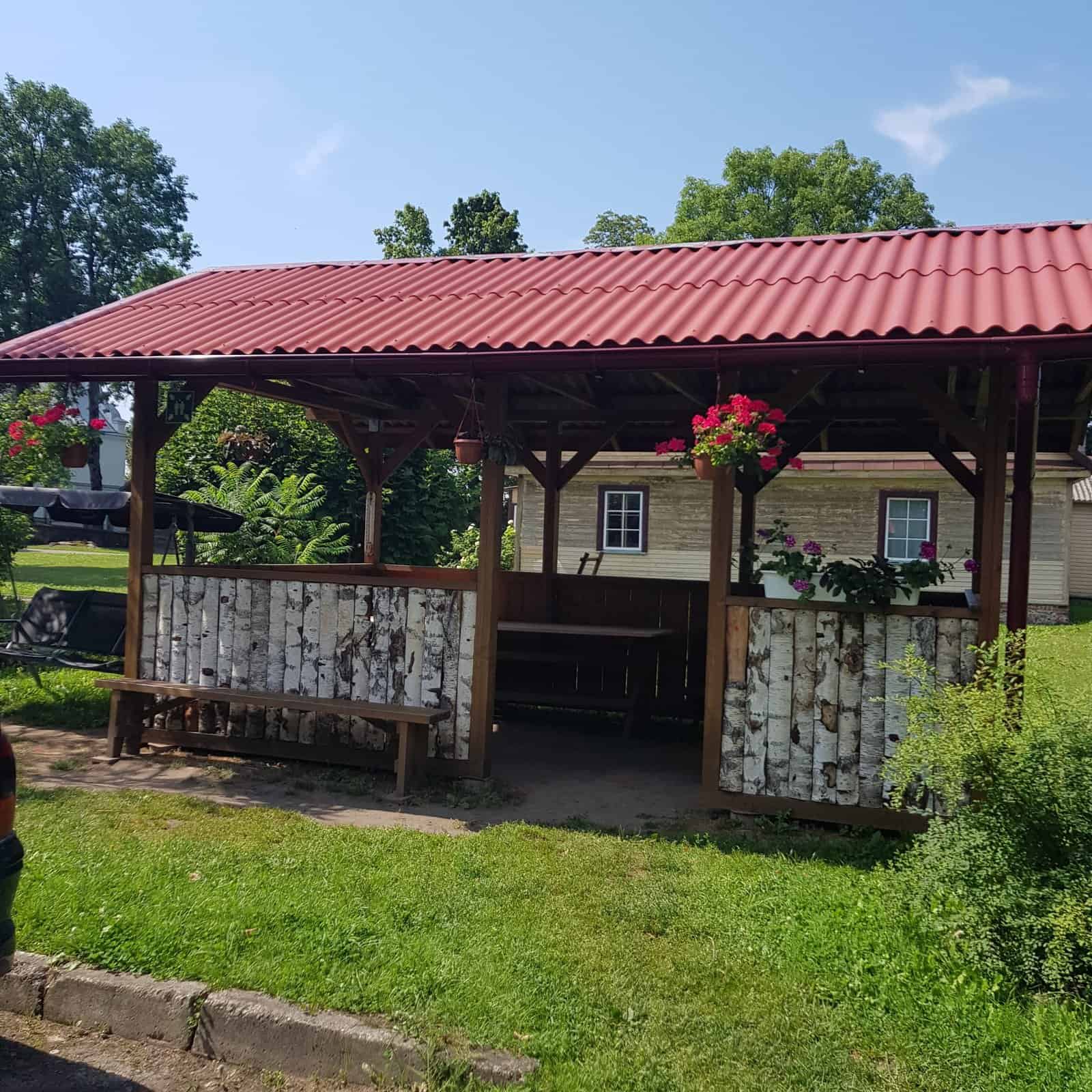 Čekiškės socialinių paslaugų namai
