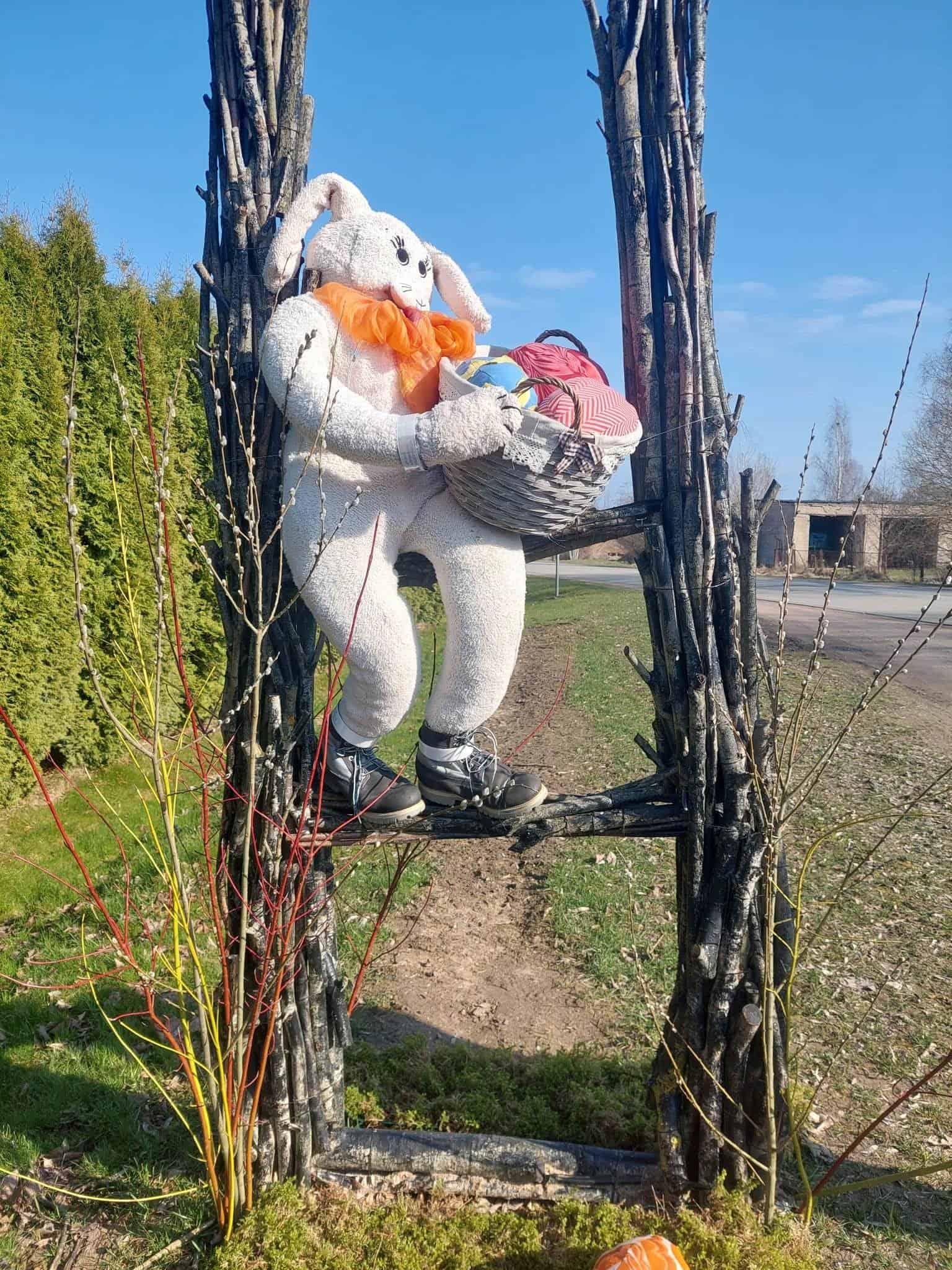 Ilguvos socialinės globos namai