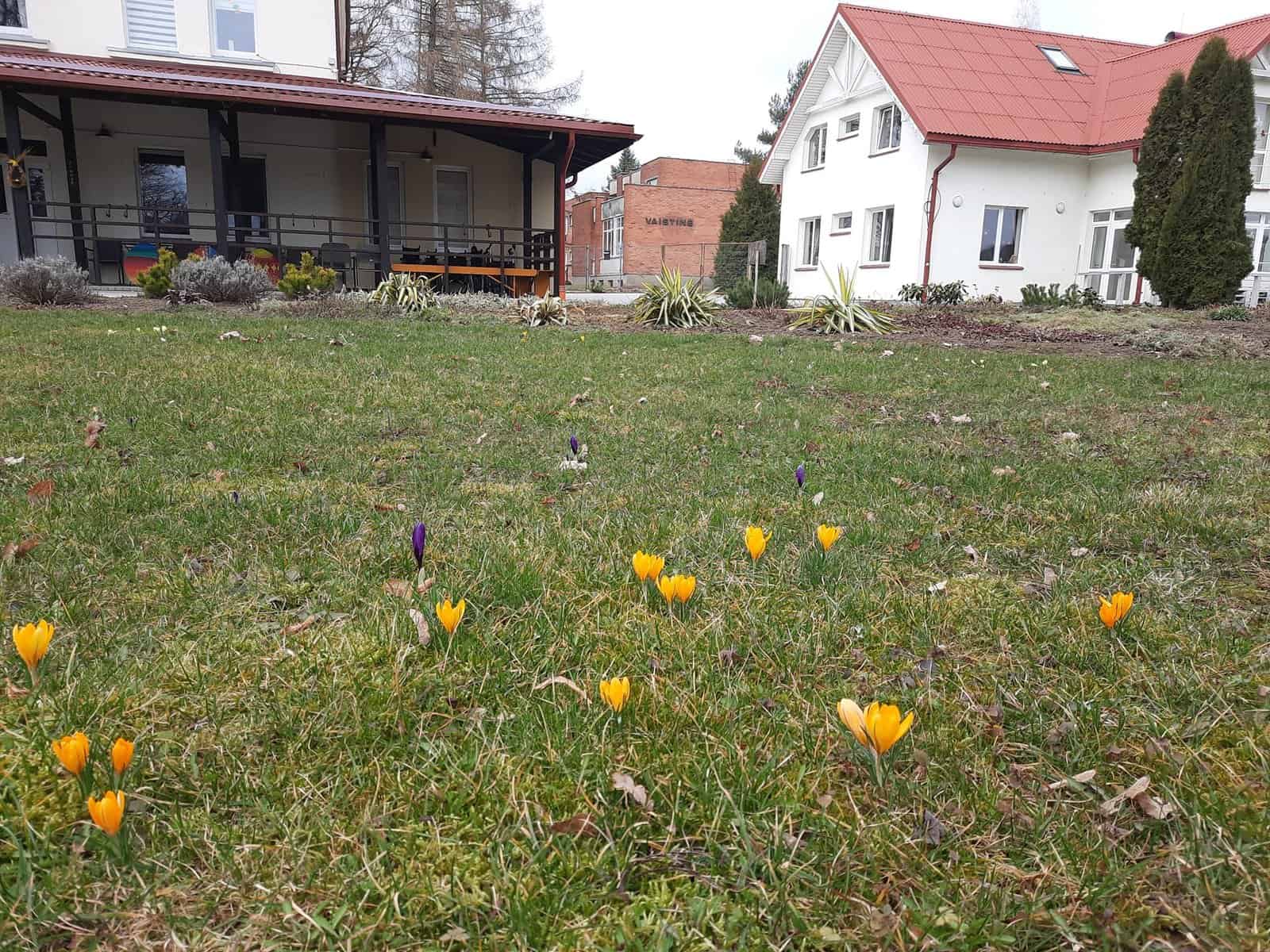 Jurbarko socialinių paslaugų Senyvo amžiaus asmenų globos namai