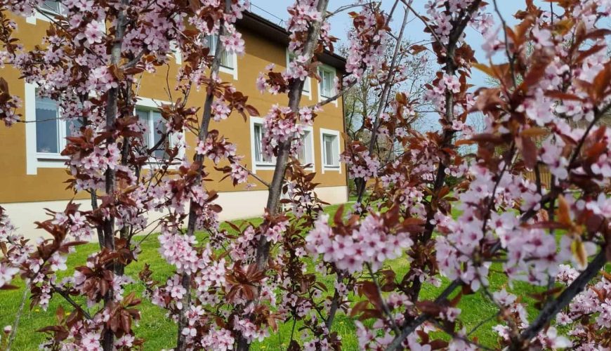 Vieta dviviečiame kambaryje Liolių socialinės globos namuose