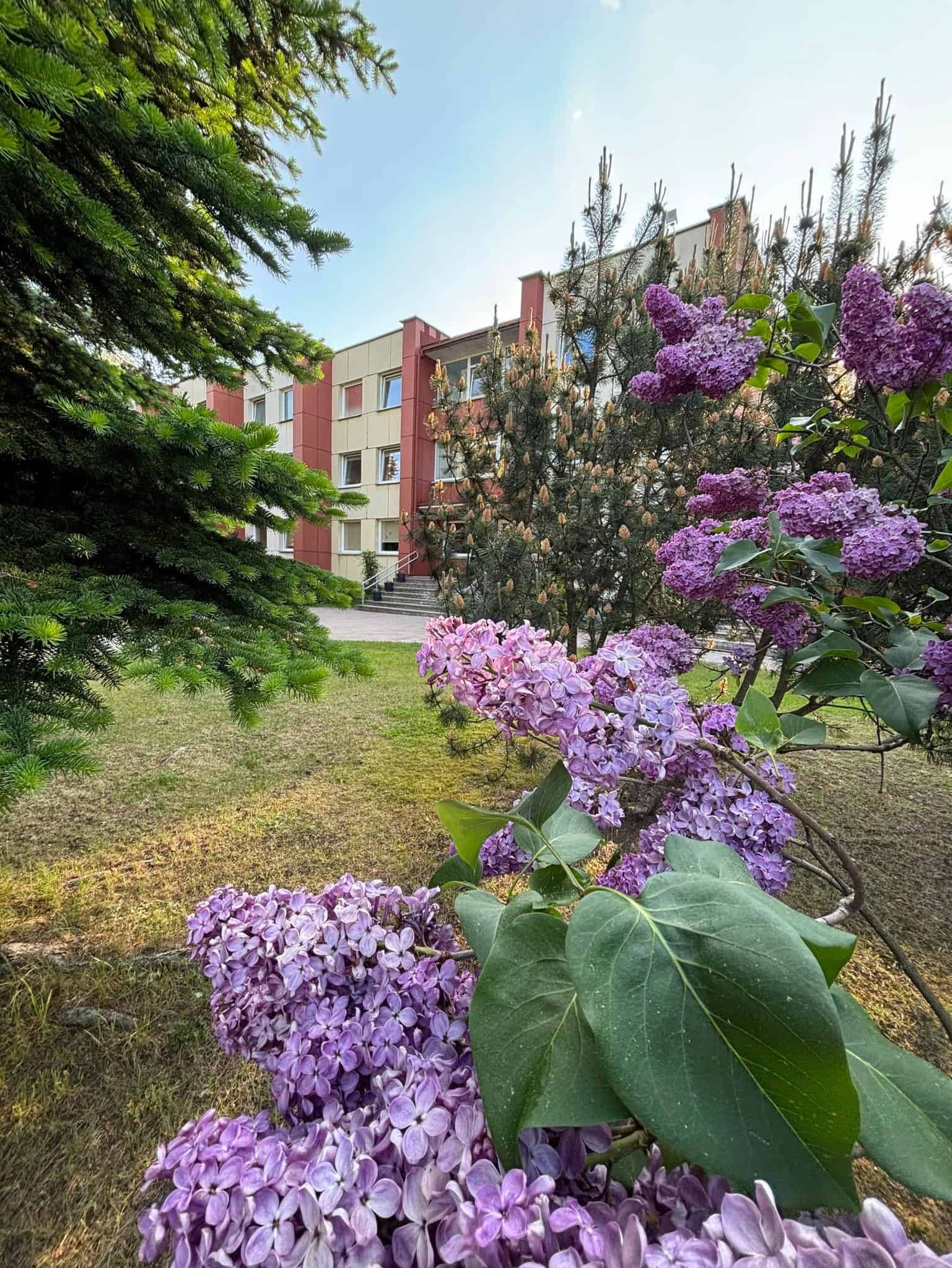 Utenos socialinių paslaugų centras