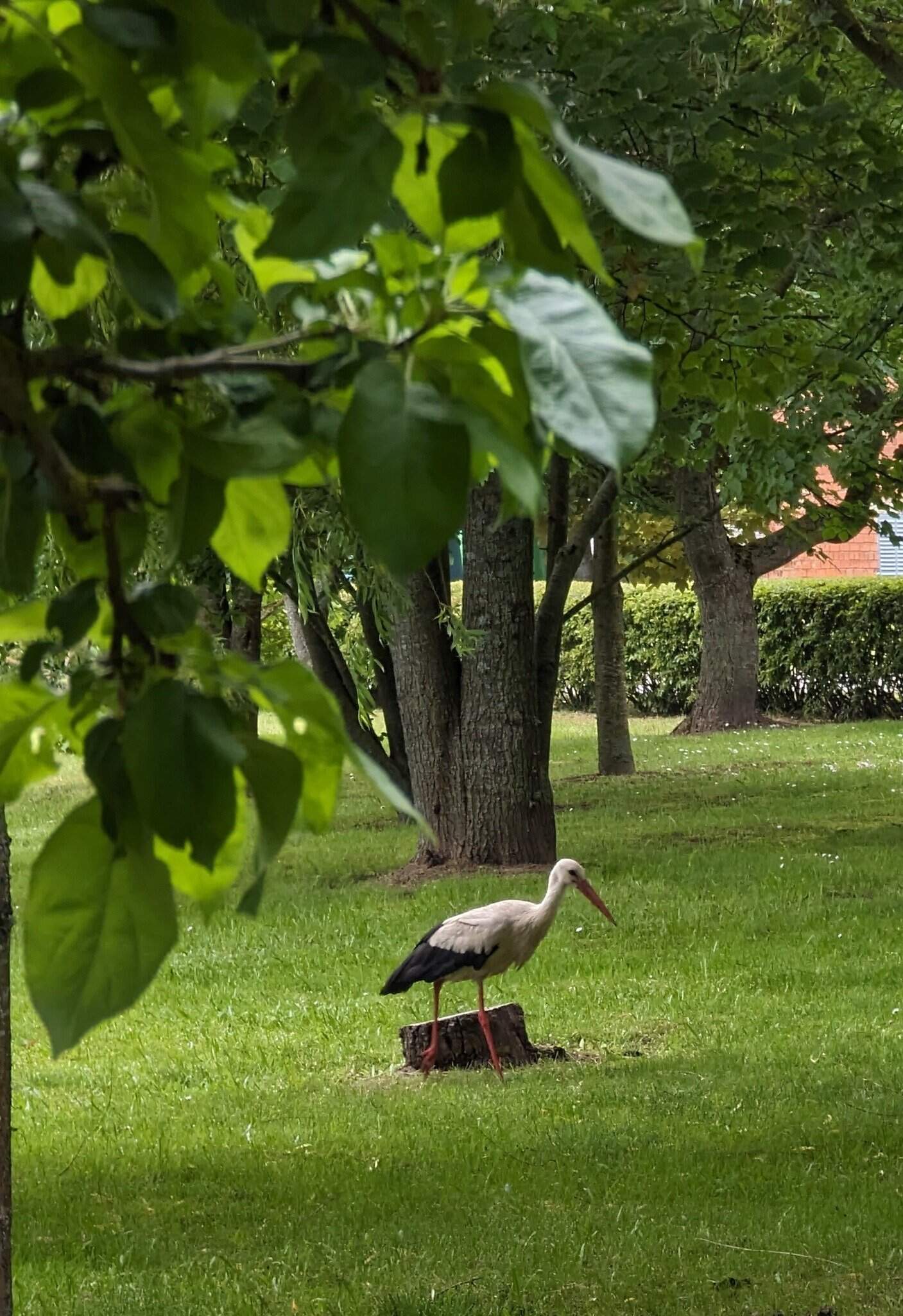 Muniškių globos namai