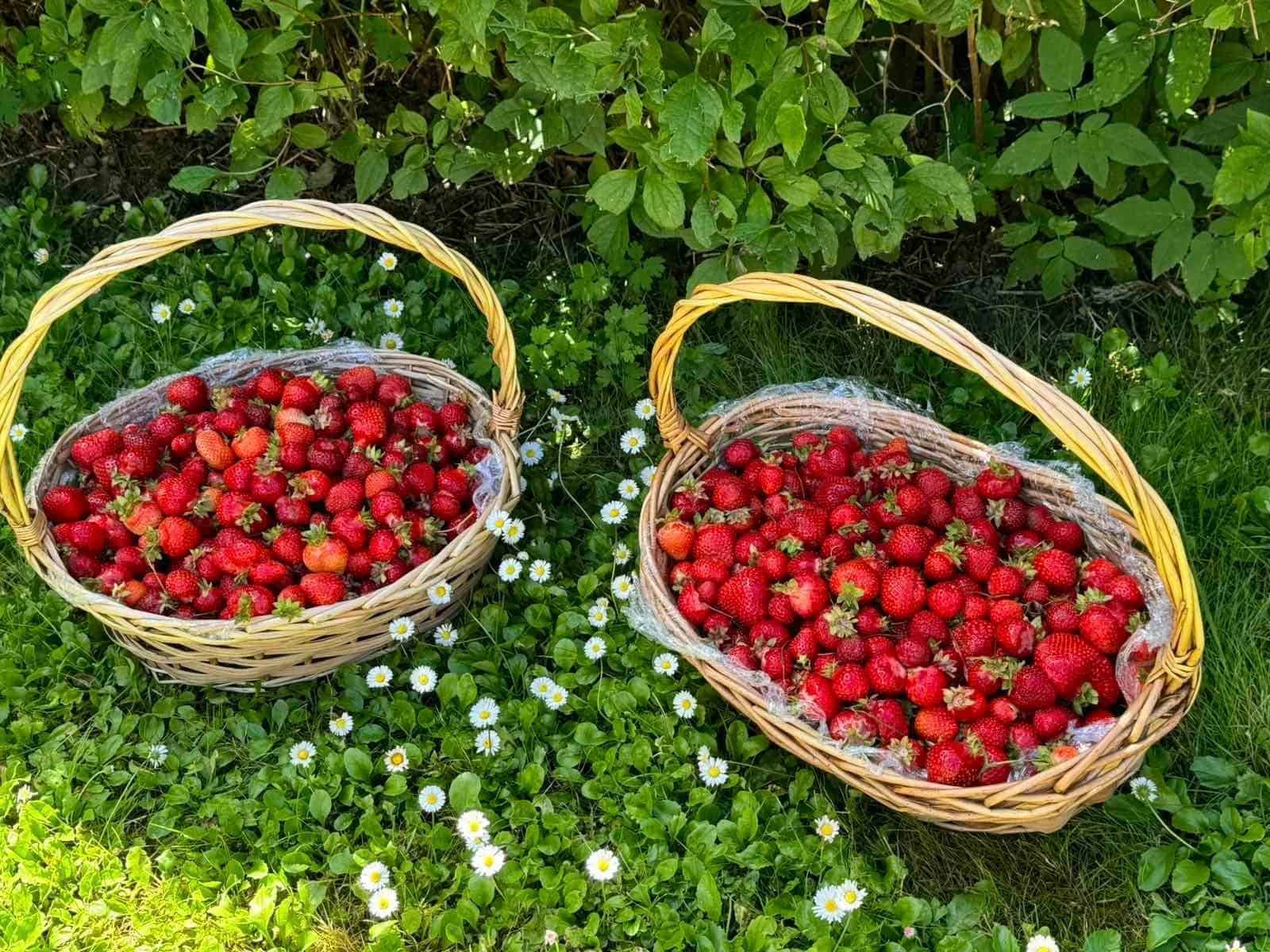VšĮ Šiaulių paliatyvios pagalbos ir slaugos centras „Prasmė“