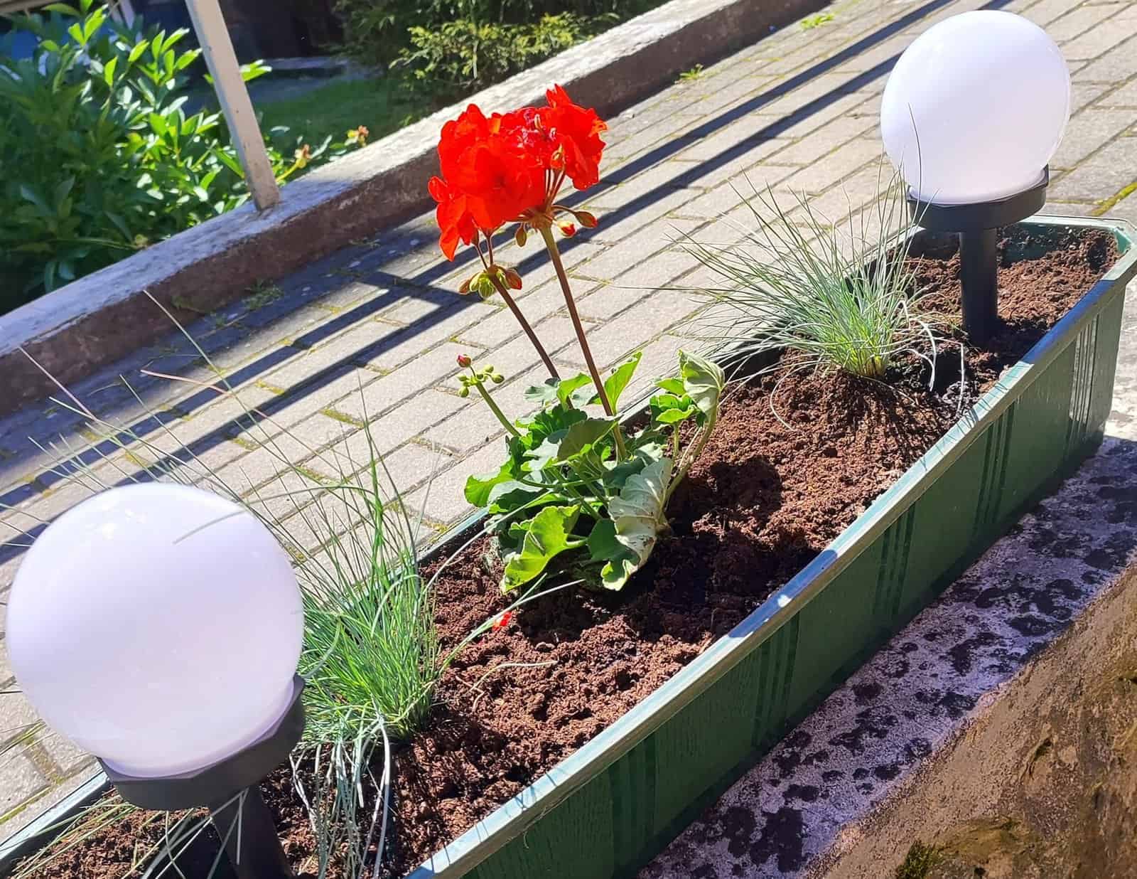 Pagėgių socialinės globos namai