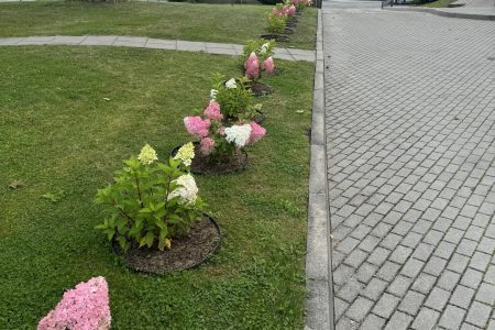 Plungės parapijos senelių globos namai