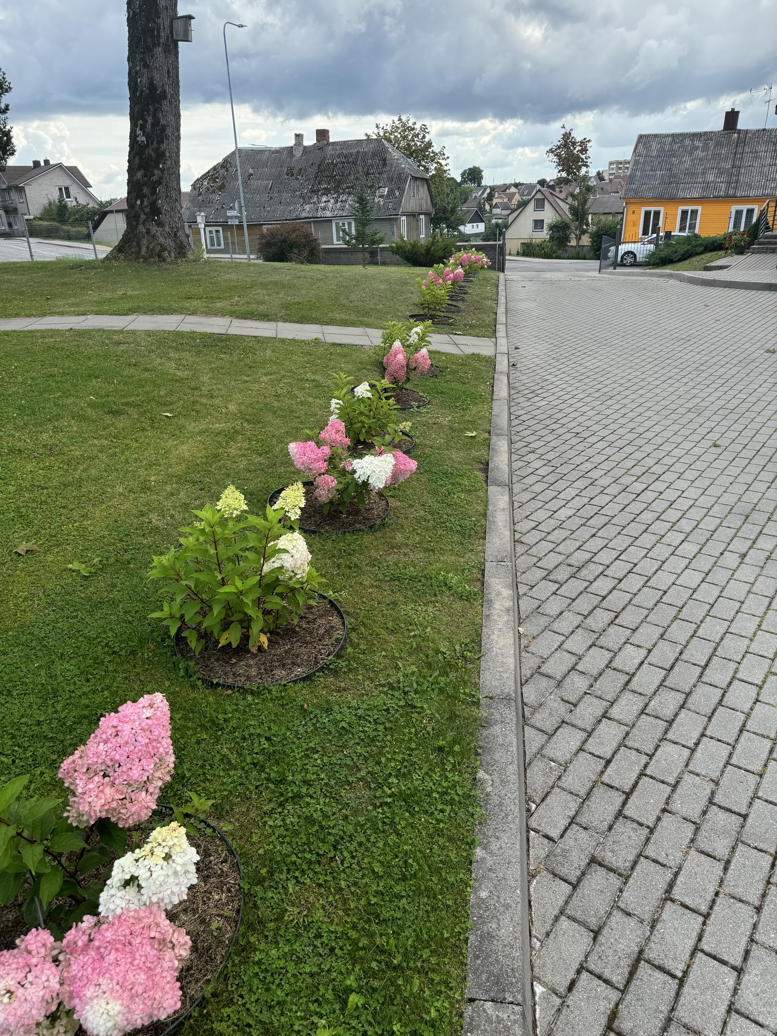 Plungės parapijos senelių globos namai