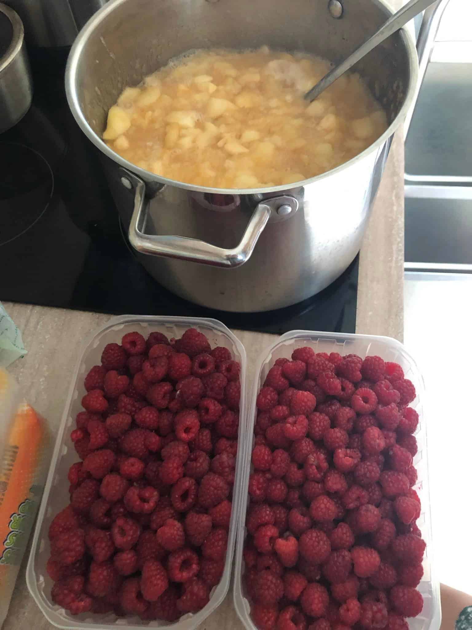 Senelių namai „Rokų gerovė“