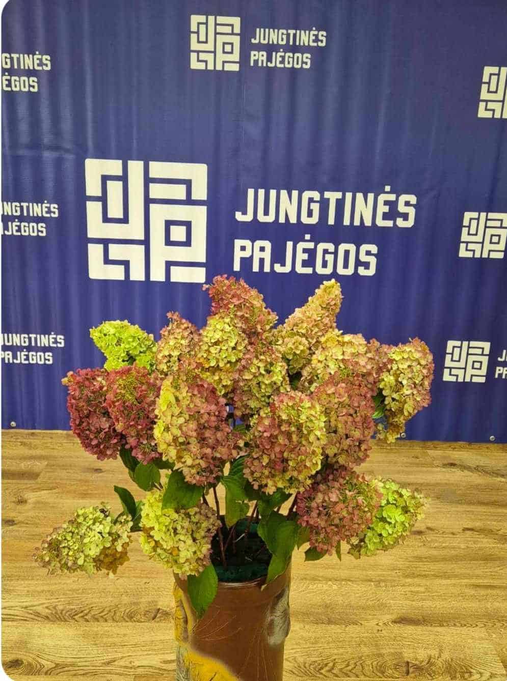 Viešoji įstaiga „Jungtinės pajėgos“