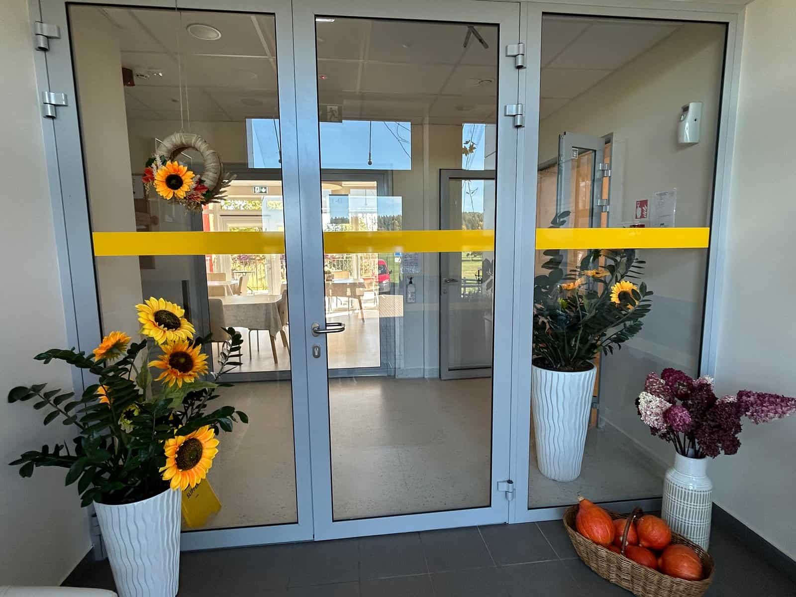 Kuosinės globos namai