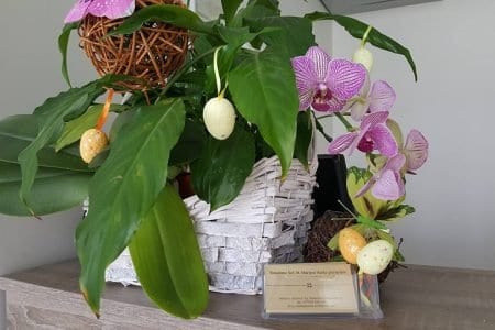Rozalimo Švč. M. Marijos Vardo parapijos senjorų namai