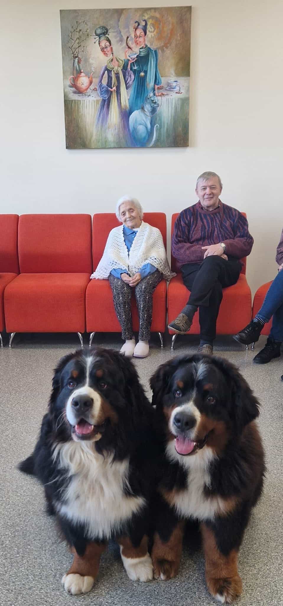 Dotnuva Nursing Home