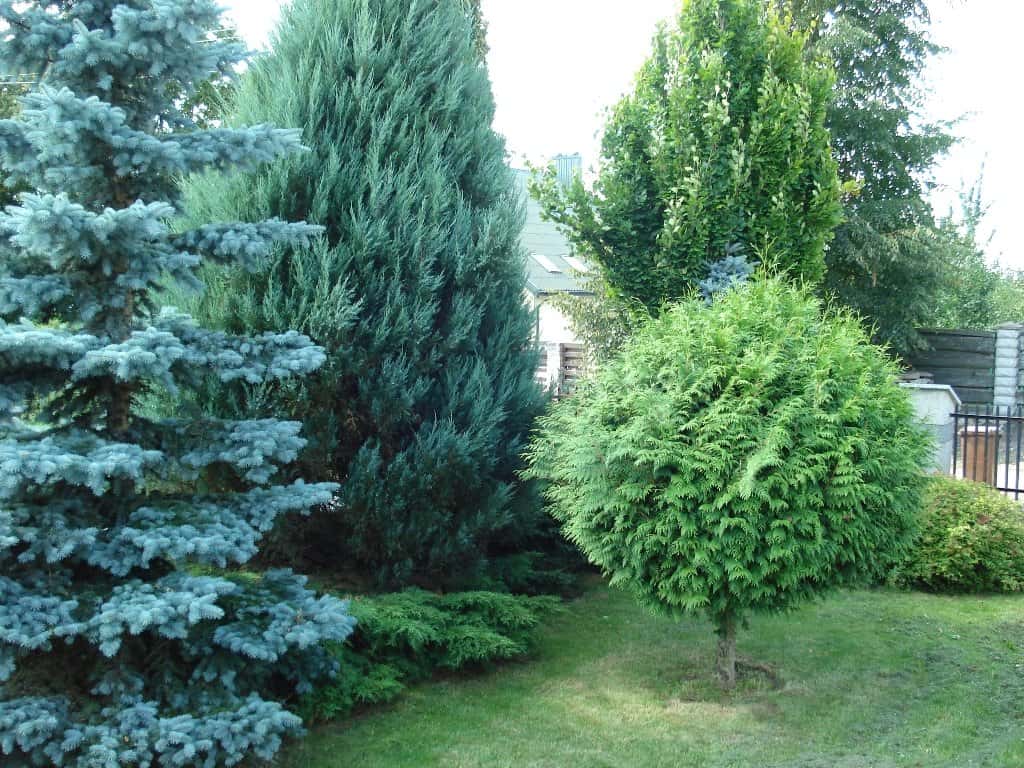 VšĮ „Akacijų užuovėja“