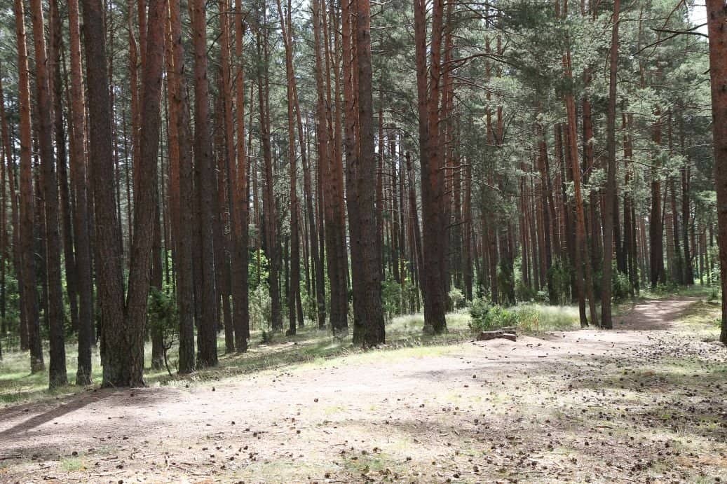 Viešoji įstaiga „Senevita“