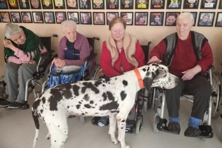 Algimanto Bandzos socialinių paslaugų namai