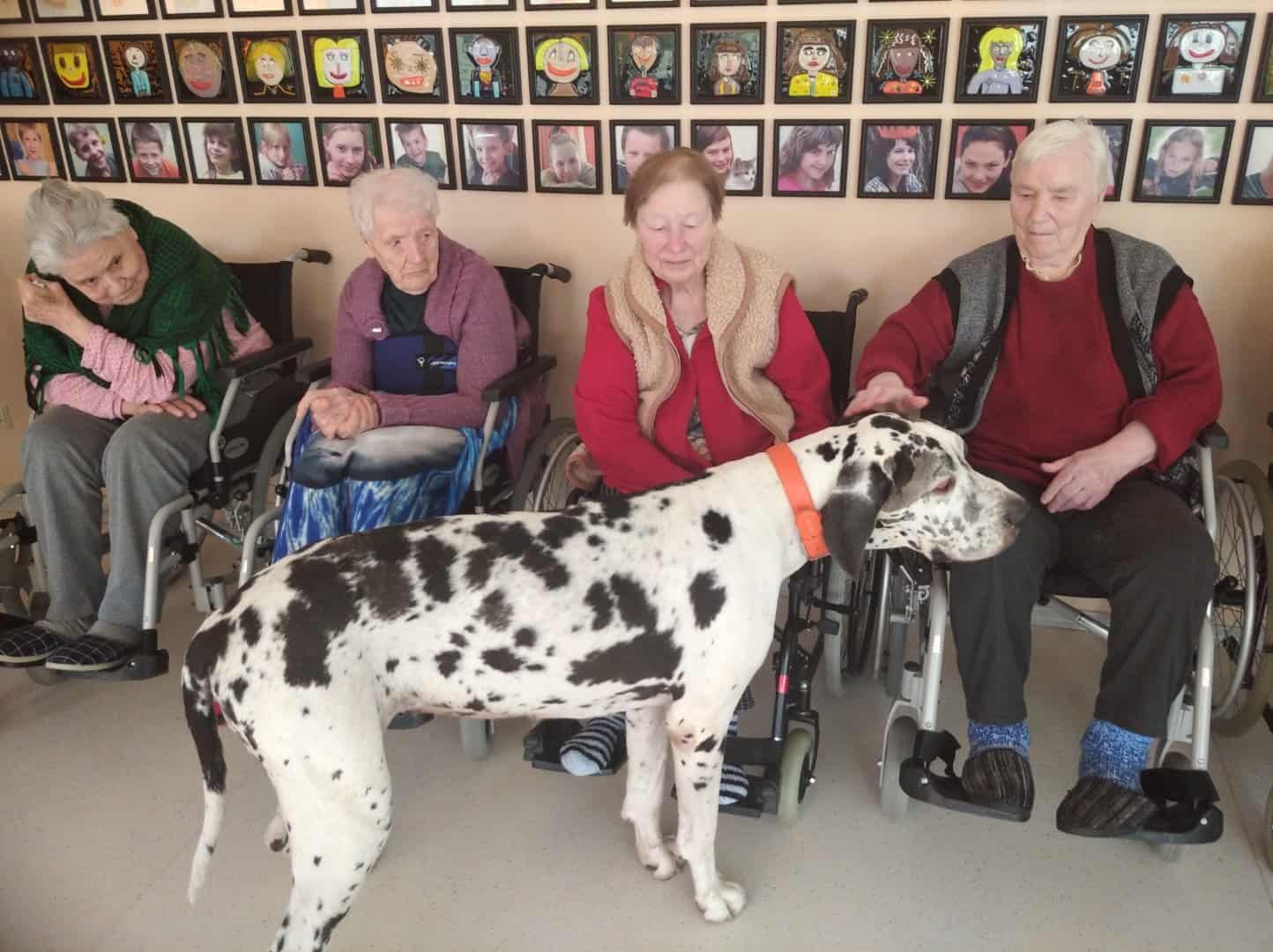 Algimanto Bandzos socialinių paslaugų namai