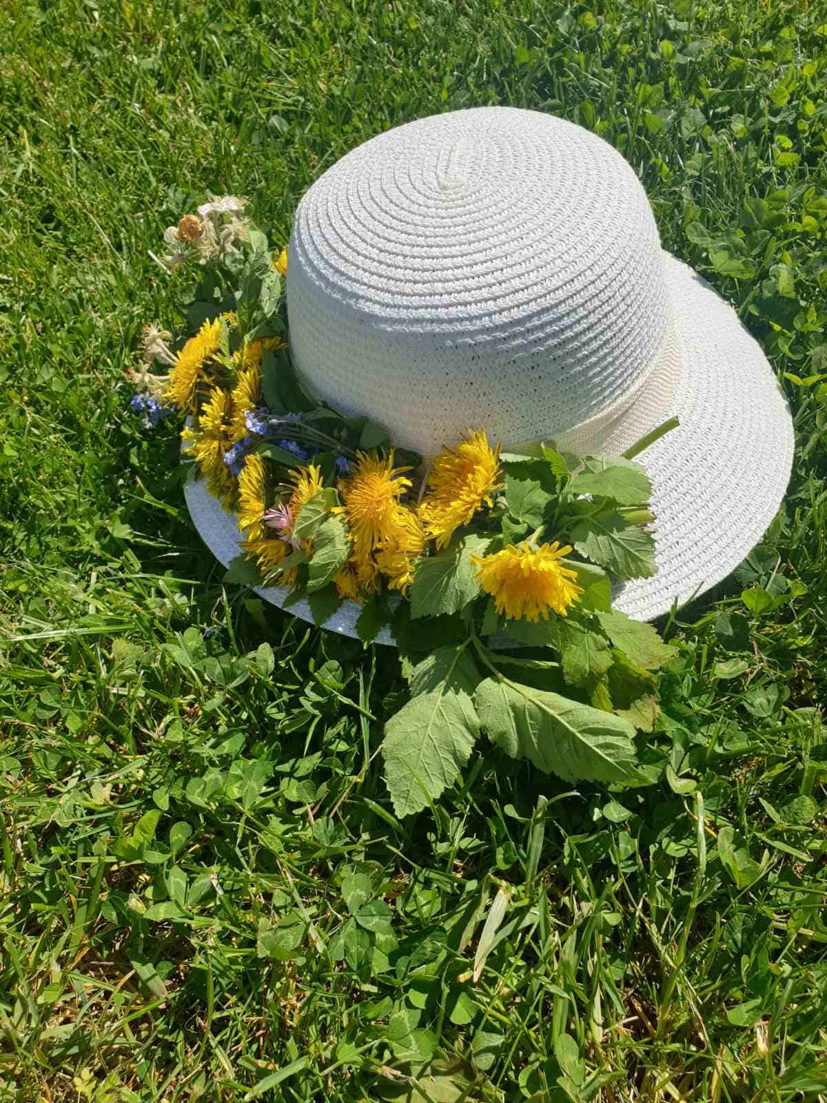 Pavandenės senjorų namai
